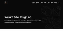 demo shop01